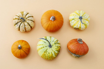 Pumpkins on orange background.