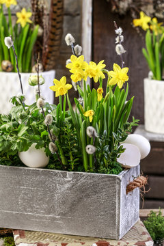 Wooden box with springtime flowers.