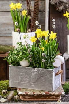 Wooden box with springtime flowers.