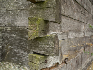 wooden log walls in Podlasie
