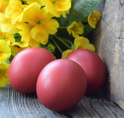Fototapeta na wymiar Red Easter eggs with yellow flowers on wooden background
