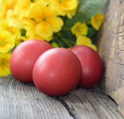 Red Easter eggs with yellow flowers on wooden background