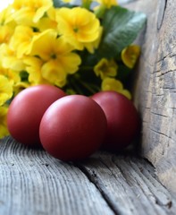 Red Easter eggs with yellow flowers on wooden background