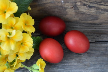 Red Easter eggs  with yellow flowers on wooden background