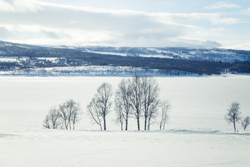 A beautiful landscape of a frozen lake in a snowy Norwegian winter day