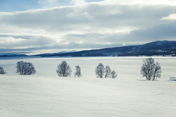 A beautiful landscape of a frozen lake in a snowy Norwegian winter day
