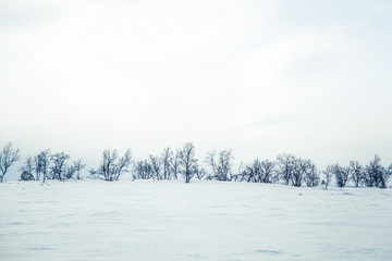 A beautiful landscape of a frozen plains in a snowy Norwegian winter day