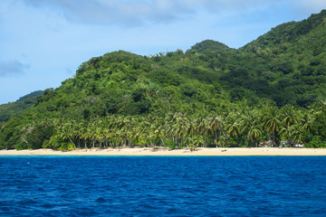 Fototapeta na wymiar Coconut Grove on Remote Island Beach