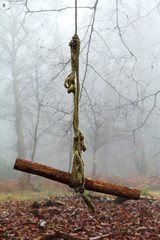 English woodland on a foggy misty morning