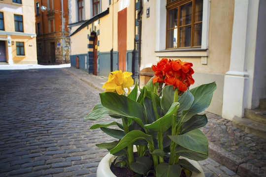 Fototapeta Street without people early in the morning. Europe. Riga