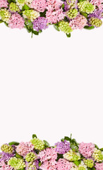 Spring background with hyacinths. Background with spring flowers