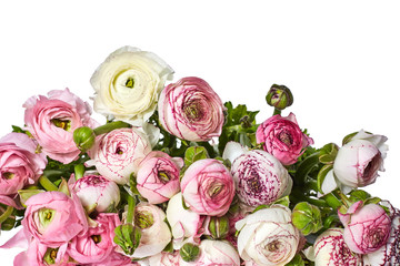 Spring background with ranunculus. Bouquet of Rununculus in hands