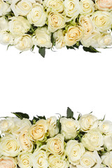 Roses background. mothers Day. Valentine's Day
