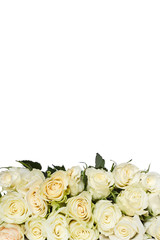 Roses background. mothers Day. Valentine's Day