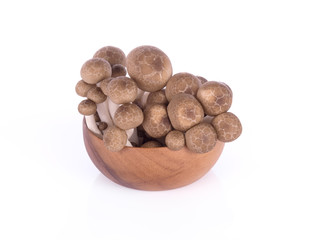 shimeji mushrooms brown varieties on white background