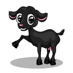 Основные RGB