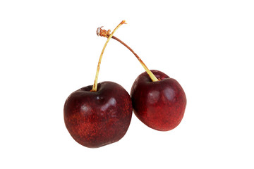 cherries isolated on white