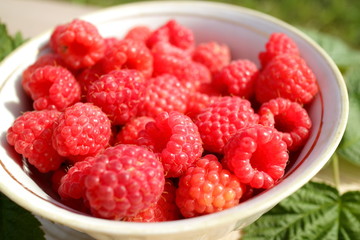 fresh raspberries