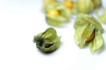 Golden Berry in White Background