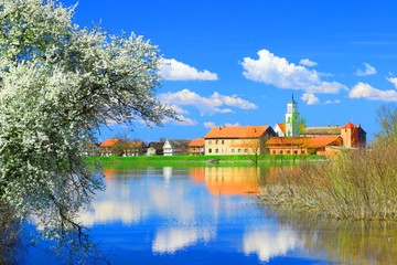 Naklejka na ściany i meble Spring landscape in countryside. Blossom tree on river coast, village and blue sky in background.