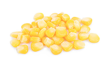 Ripe corn isolated on white background