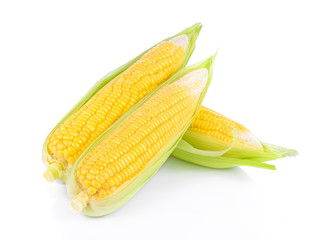 Corn on white background