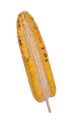 Grill BBQ corn with white background. Fom northern of Thailand, Chiangmai. Sweet corn also called sugar corn and pole corn is a variety of maize with a high sugar content.