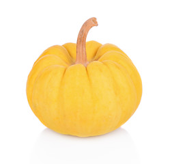 Obraz premium Fresh yellow pumpkin isolated on white background