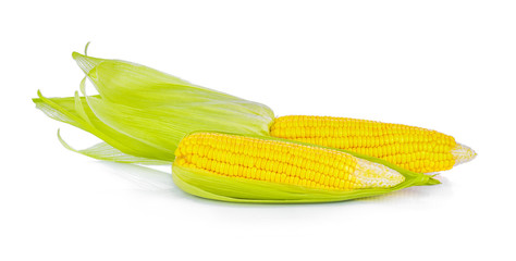 Corn on white background