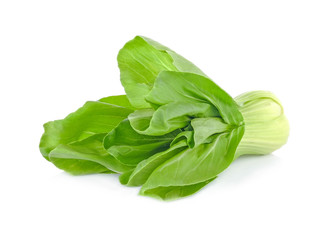 vegetables green pakchoi  Hydroponics isolated on white background