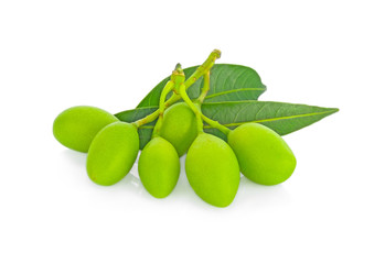 Closeup sweet Marian plum thai fruit,Maprang young on white background
