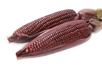 Boiled purple corn on white background