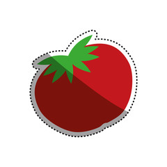 Tomato Fresh vegetable icon vector illustration graphic design