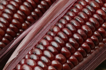 Closeup boiled purple corn bbackground and texture