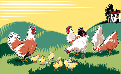 Hen, chicks a rooster and a hen, in a meadow.