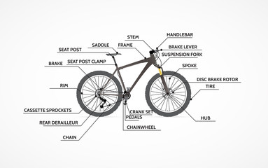 Infographics of Mountain Bike.