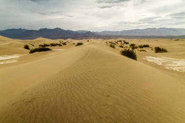 Fototapeta na wymiar Some footprints in the sand, Death Valley, California, USA