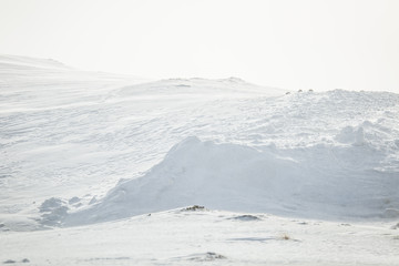 Fototapeta na wymiar A beautiful closeup pattern of snow in a Norwegian winter day