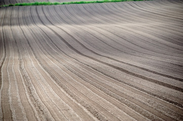 パッチワークの丘