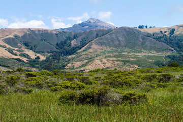 Hills along the coast of California, USA