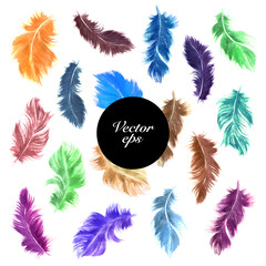 Vector watercolor feathers set in bright colors
