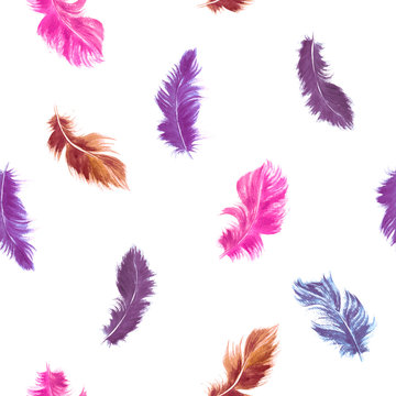 Vector feather seamless pattern in pink and purple colors