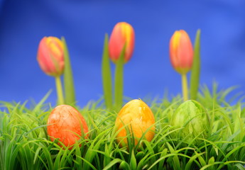 Fototapeta na wymiar Frühlingsfarben, 3 bunte Ostereier im Gras, dahinter vor blauem Hintergrund 3 unscharfe Tulpen