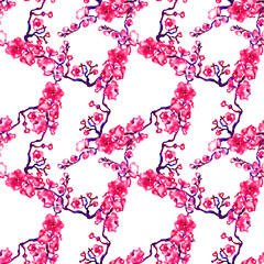 Pink sakura branch blossom, seamless pattern hand painted watercolor illustration