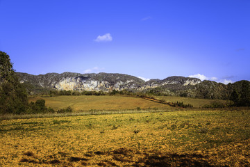 Obraz premium The Valley of Viñales