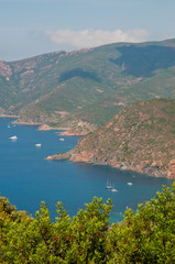 Fototapeta na wymiar Beautiful and scenic landscape of Corsica island, France