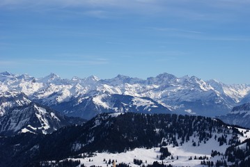 View from Mt Rigi