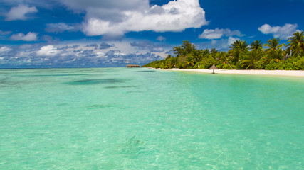 Maldives paradise beach. Perfect tropical island. Beautiful palm trees and tropical beach. Moody blue sky and blue lagoon. Luxury travel summer holiday background concept.