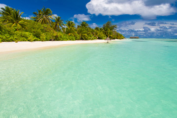 Fototapeta premium Maldives paradise beach. Perfect tropical island. Beautiful palm trees and tropical beach. Moody blue sky and blue lagoon. Luxury travel summer holiday background concept.