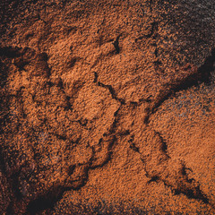 Brown pastry (cake) with cocoa and chocolate